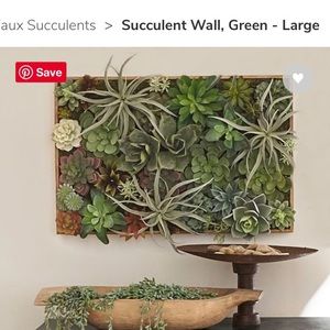 Succulent Box
